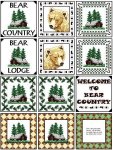 (image for) Needle Block Wonders 06 - Bear Country